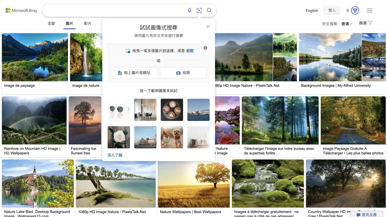reverse-image-search-bing